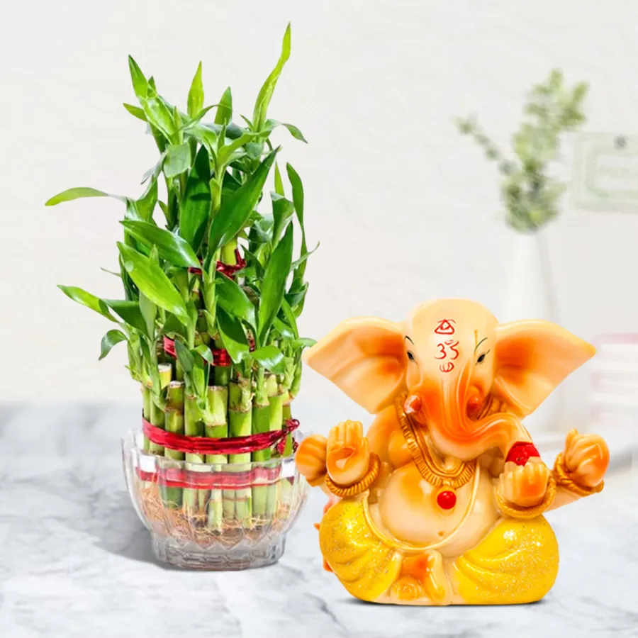 Exclusive 2 Tier Lucky Bamboo Plant in Glass Pot with Vignesh Ganesh Idol.