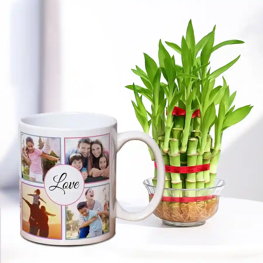 2 Layer Lucky Bamboo Tree displayed in a personalized coffee mug, perfect for indoor gifting and celebrations.