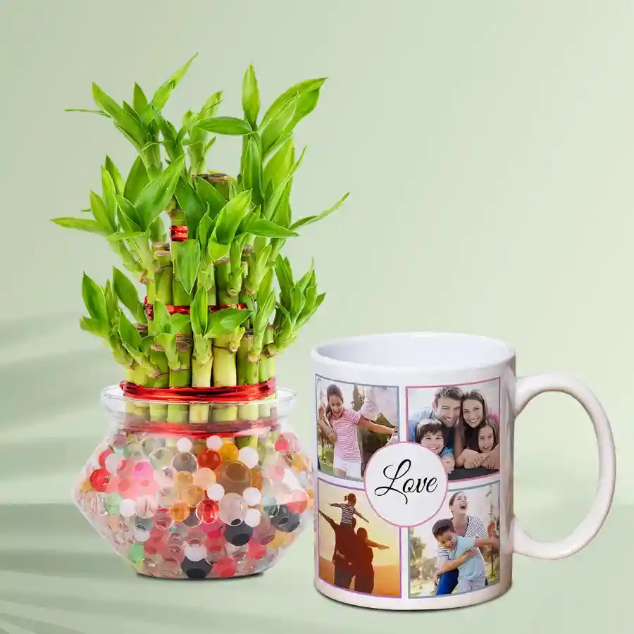 A personalized coffee mug beside a 3 tier good luck bamboo plant, perfect for gifting.