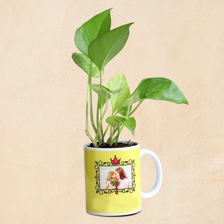 Personalized coffee mug featuring a Money Plant, ideal for heartfelt gifts.