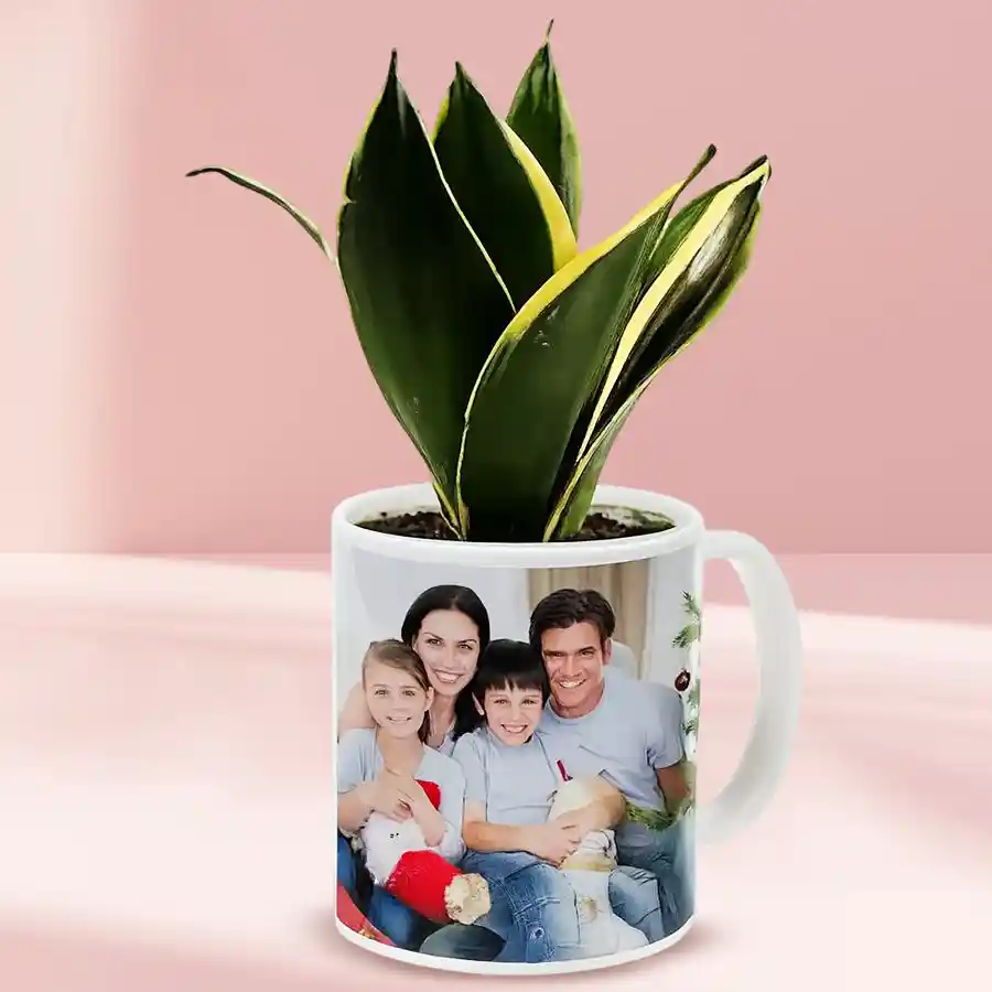 Milt Sansevieria plant in a personalized mug for a special gift.