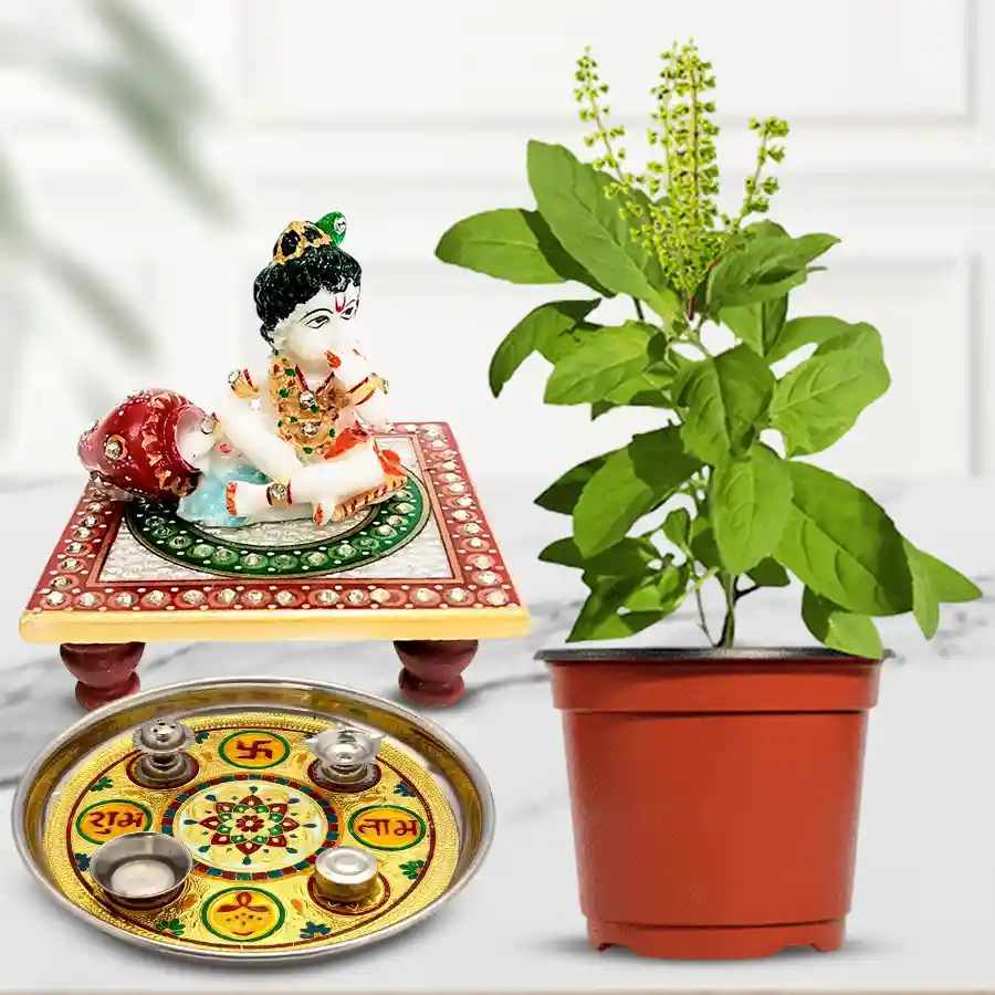 Enlightening Tulsi Devotional Gift Set with Holy Tulsi Plant, Marble Krishna Chowki, and Decorative Puja Thali in a Plastic Planter.