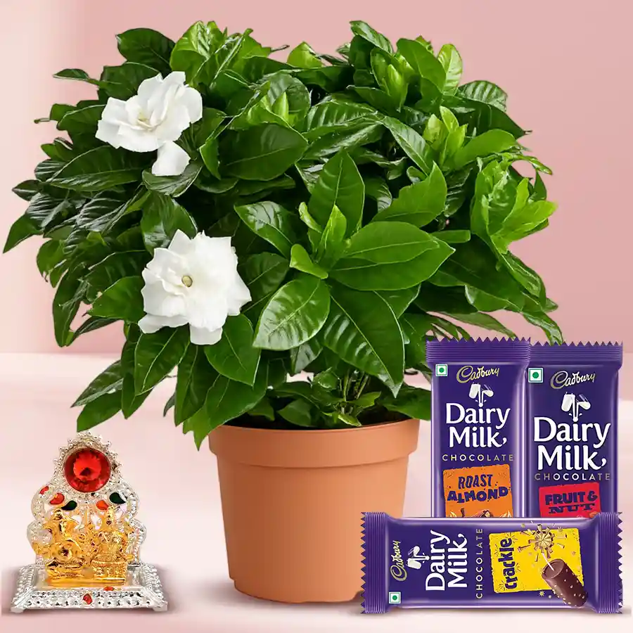 Jasmine Cheer Floral Planter with Cadbury treats and Laxmi Ganesh Mandap.