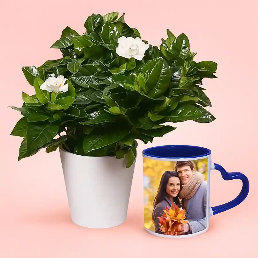 Enchanted Jasmine Plant in a black tub, customized mug gift for special occasions.