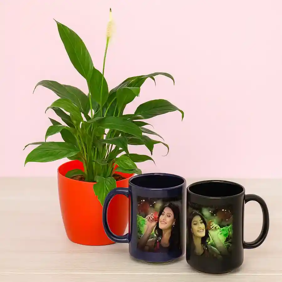 Serene peace lily plant in a red tub with a personalized radium mug duo.