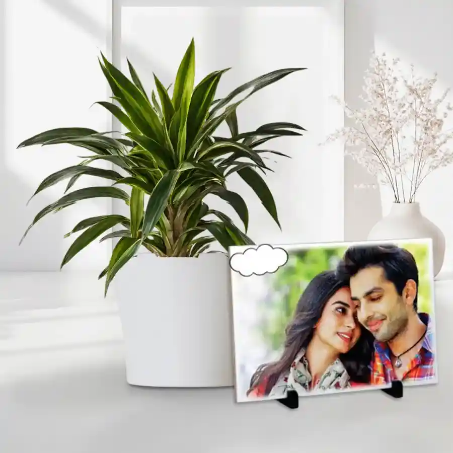 Air Purifying Warneck Dracaena in a brown pot with a personalized 4*4 photo tile duo.