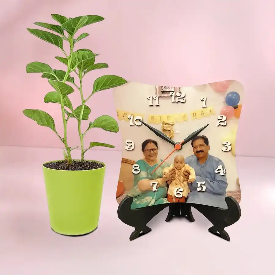 Tranquil Aswagandha plant in green pot with personalized photo table clock combo.