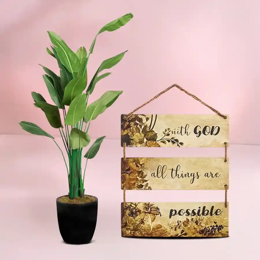 Lovely Travellar Palm Plant in black pot with wall decor combo for home or office.