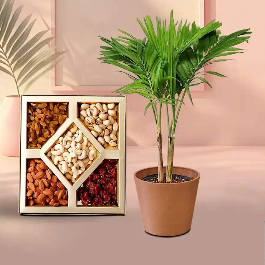 Christmas Palm Plant with assorted dry fruits in a brown pot.