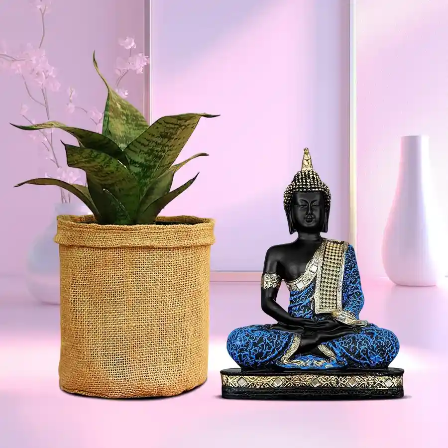 Serene Buddha idol next to a jute-wrapped snake plant, symbolizing peace and tranquility.