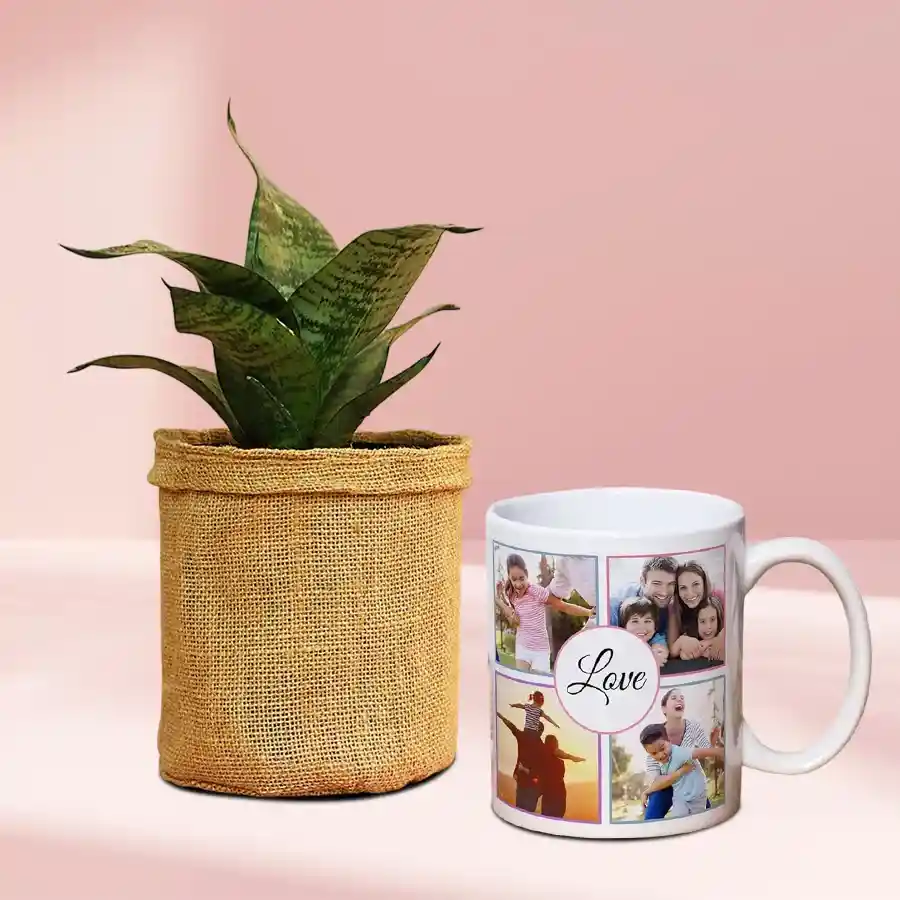 Jute Wrapped Snake Plant paired with a customizable coffee mug, creating a delightful gift combo.