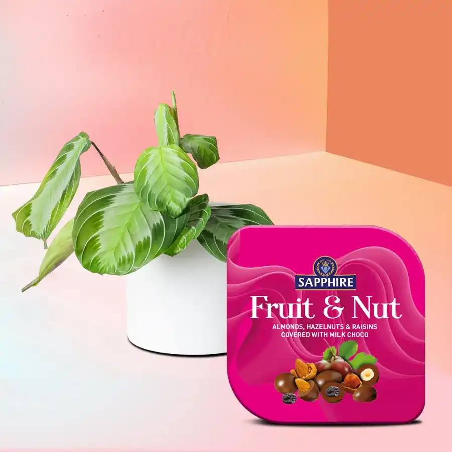 Maranta Plant and Sapphire Fruit N Nut Tin set for gifting.
