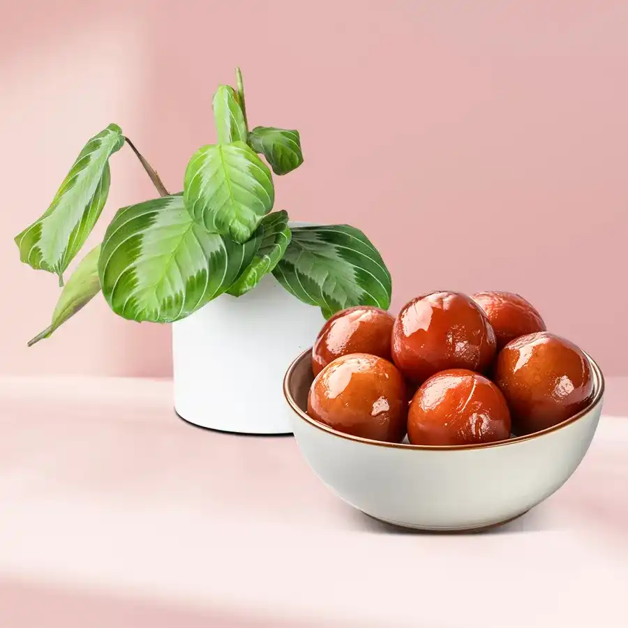 Maranta Plant in a white pot paired with 1kg of Gulab Jamun, perfect for gifting.