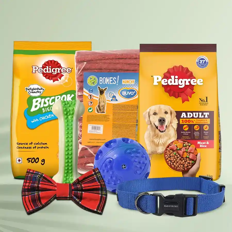 A vibrant Puppy Party Surprise Gift Bundle featuring toys, treats, and accessories for dogs, perfect for celebrating a pup's birthday.