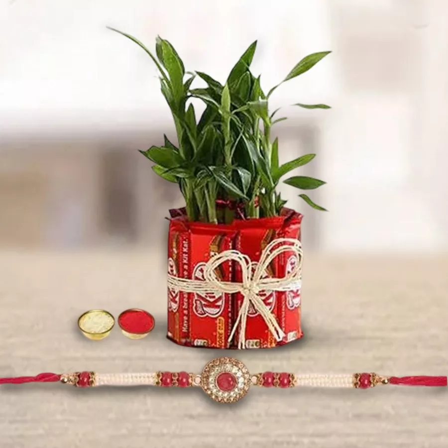 Exceptional KitKat Arrangement with 12 KitKats and a 2-Tier Lucky Bamboo Plant