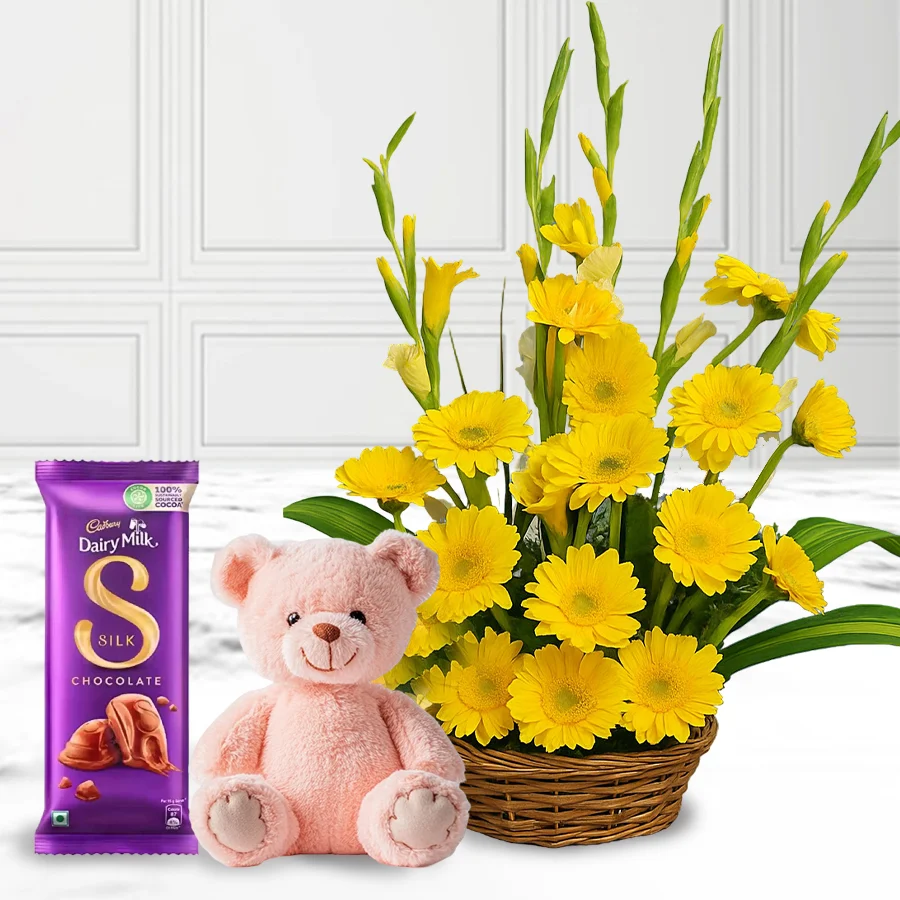 Radiant yellow gerberas arrangement with a teddy bear and Cadbury Dairy Milk Silk chocolate.