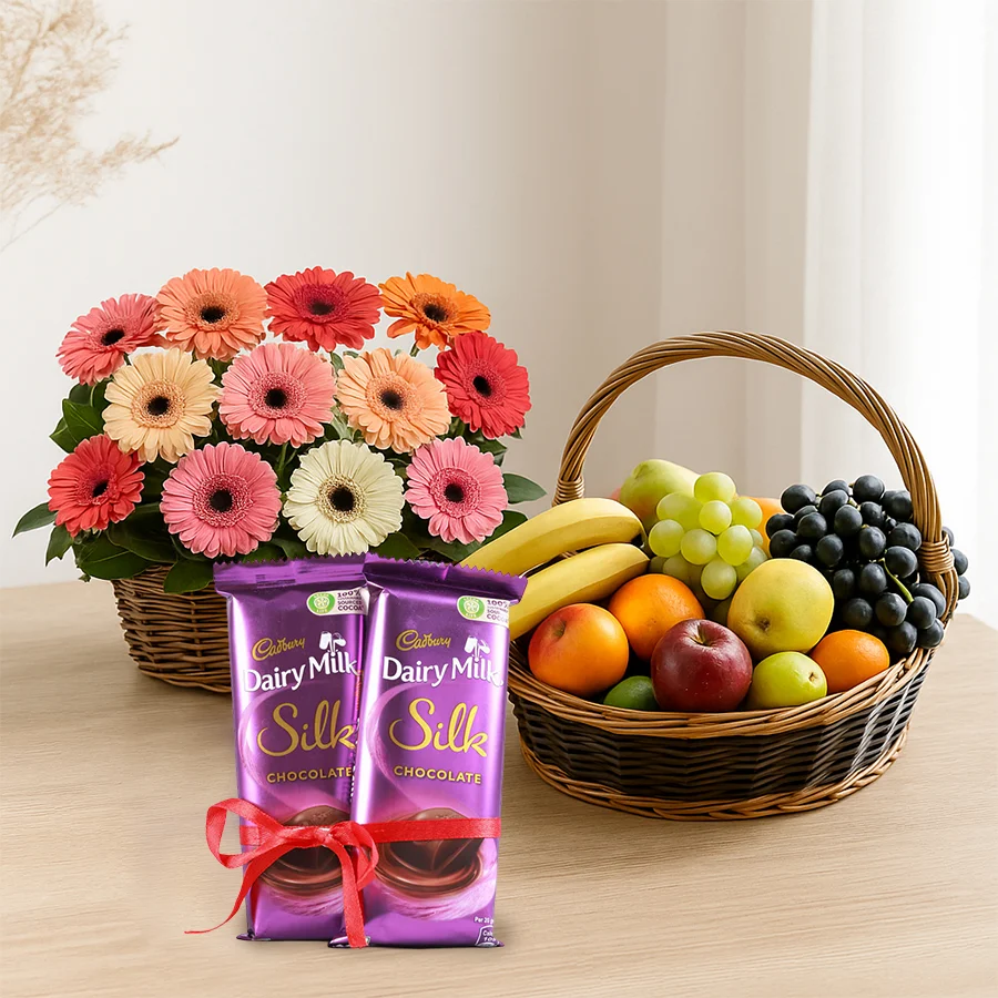 A vibrant gift combo featuring 10 gerberas, a 3 kg mixed fruit basket, and two Dairy Milk Silk chocolates, perfect for any celebration.