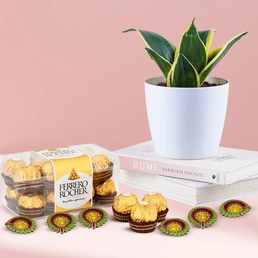 Diwali gift set featuring Ferrero Rocher chocolates, mud diyas, and Milt Sansevieria plant in a plastic pot.