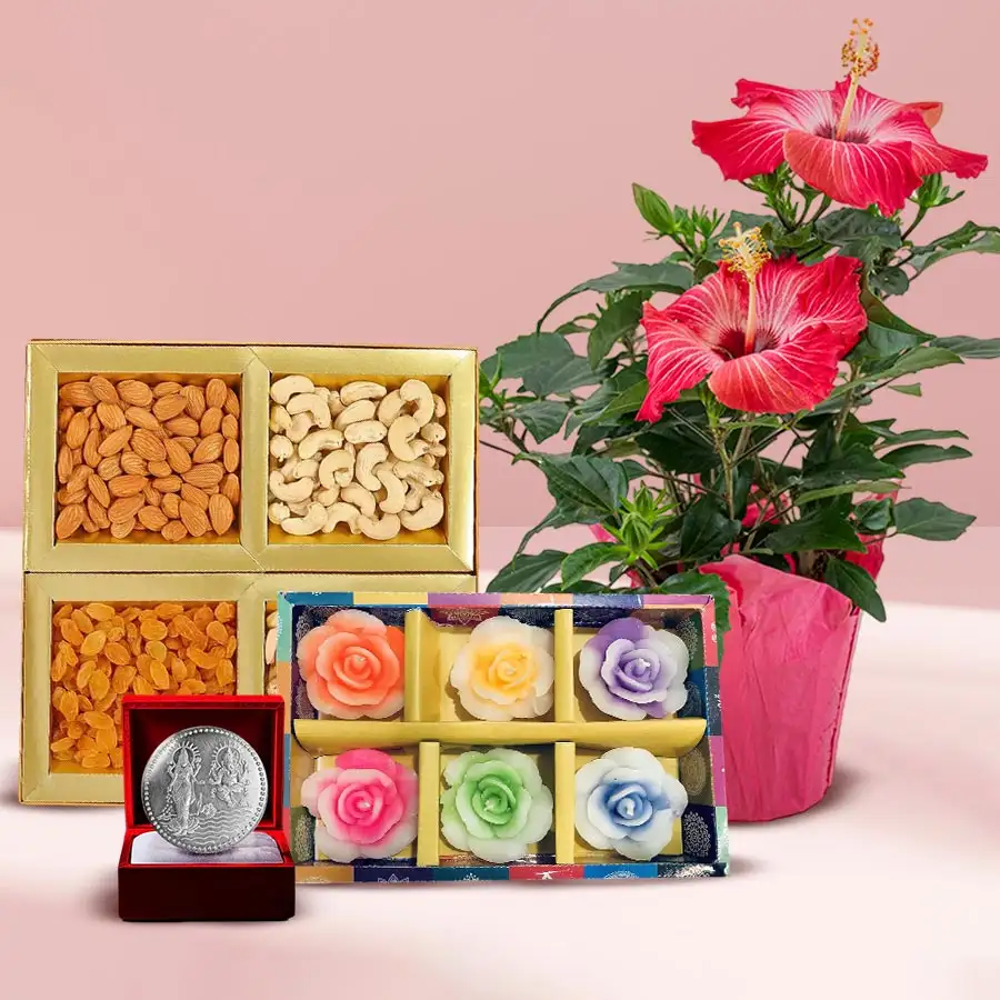 Hibiscus Harmony Gift Combo featuring a hibiscus plant, mixed dry fruits, flower-shaped candles, and a silver-plated Ganesh Laxmi coin.