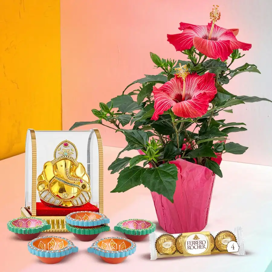 Hibiscus Love & Joy Gift Ensemble with plant, Ganesh idol, chocolates, and diyas for Diwali celebration.