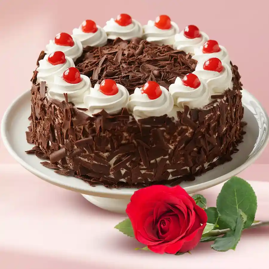 A tempting Black Forest cake accompanied by a single red rose, perfect for gifting and celebrating special moments.