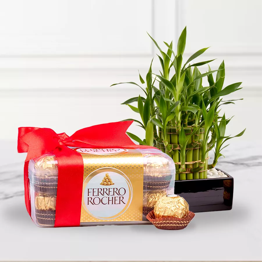 Two-tier Lucky Bamboo Plant and Ferrero Rocher chocolates gift for Mother's Day.