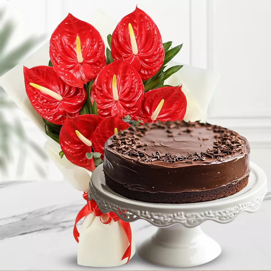 Anthurium bouquet and chocolate cake gift combo, perfect for celebrations.