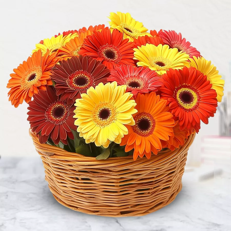 A vibrant gift basket featuring 12 mixed Gerberas, perfect for celebrating special moments.