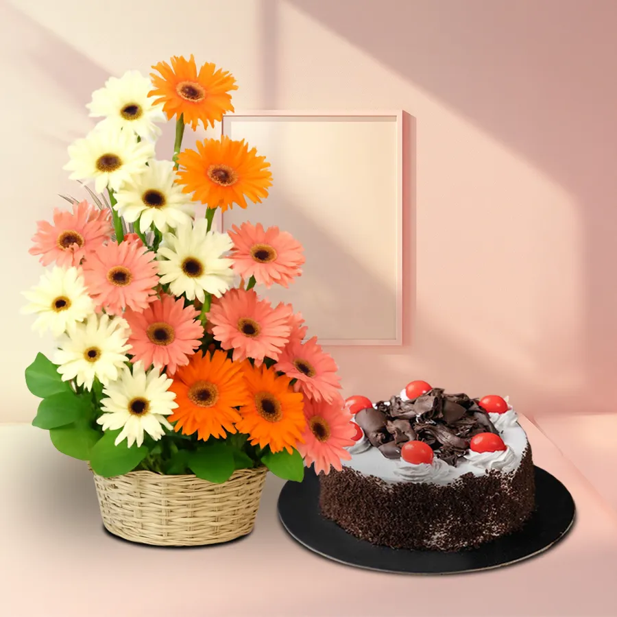 A vibrant basket with 25 mixed gerberas next to a round Black Forest cake, ideal for gifting on special occasions.