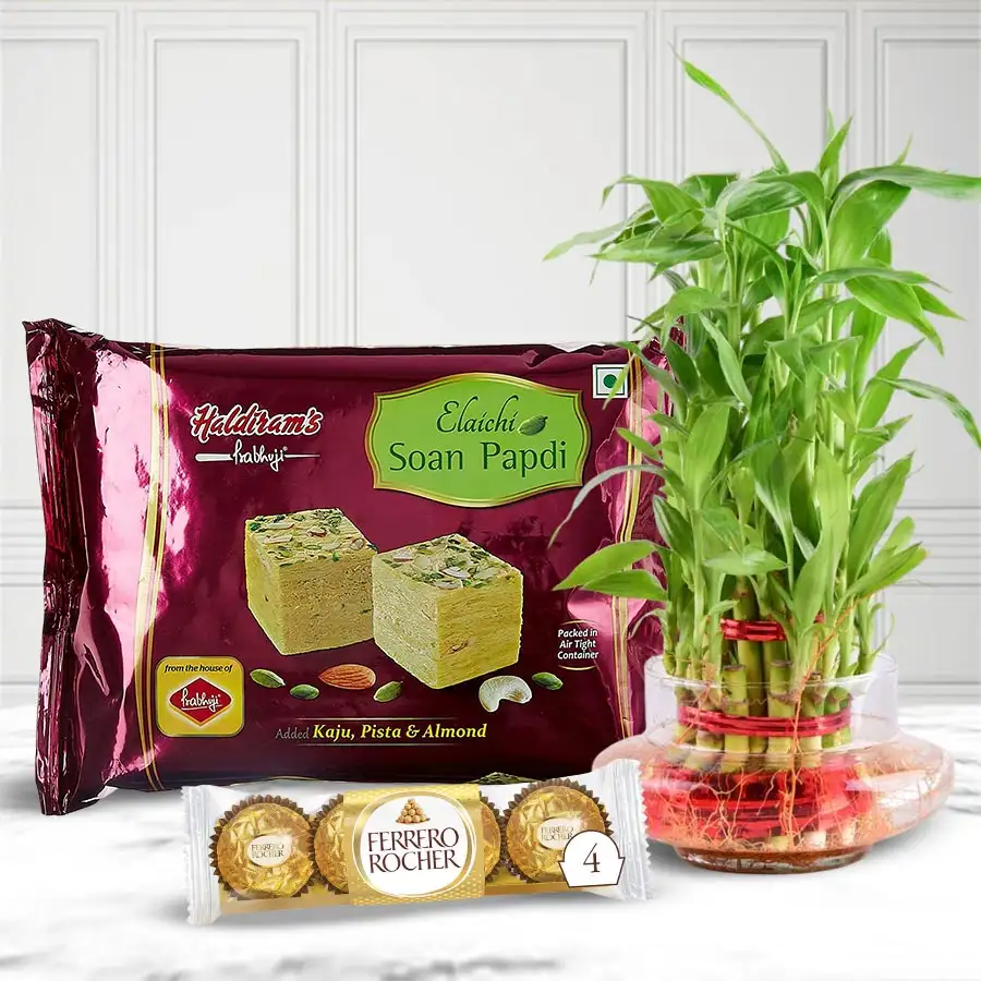 Eco Friendly Assortment Gifts including lucky bamboo, Ferrero Rocher chocolates, and Haldirams Soan Papdi for bhaiya's special occasion.