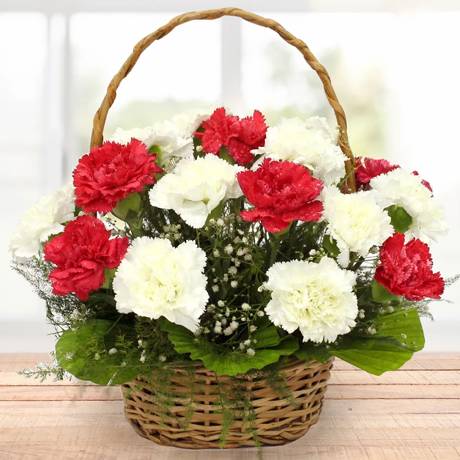 A beautifully arranged basket of 15 mixed carnations, perfect for gifting.