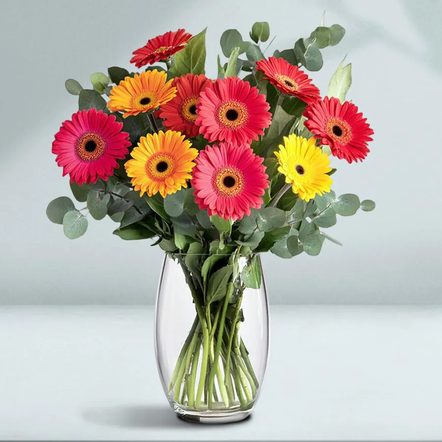 Bright and cheerful arrangement of 15 fresh Gerberas in a large vase, perfect for gifting.