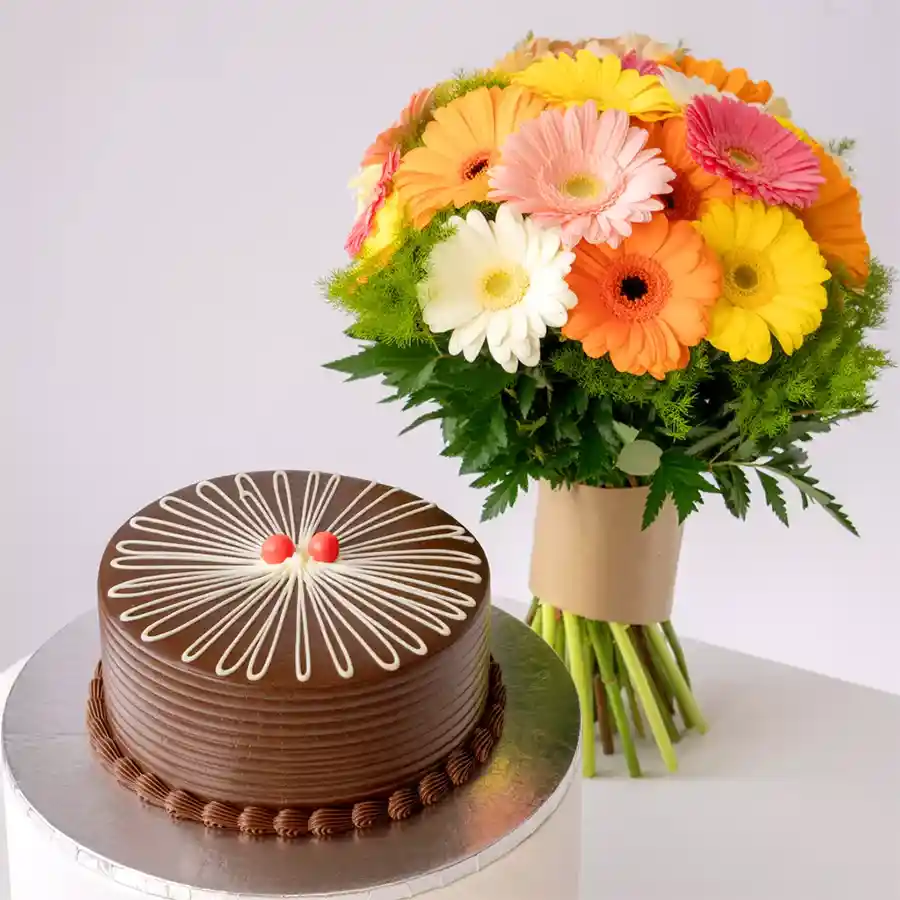A vibrant bunch of mixed Gerberas with a chocolate cake combo, perfect for celebrations.