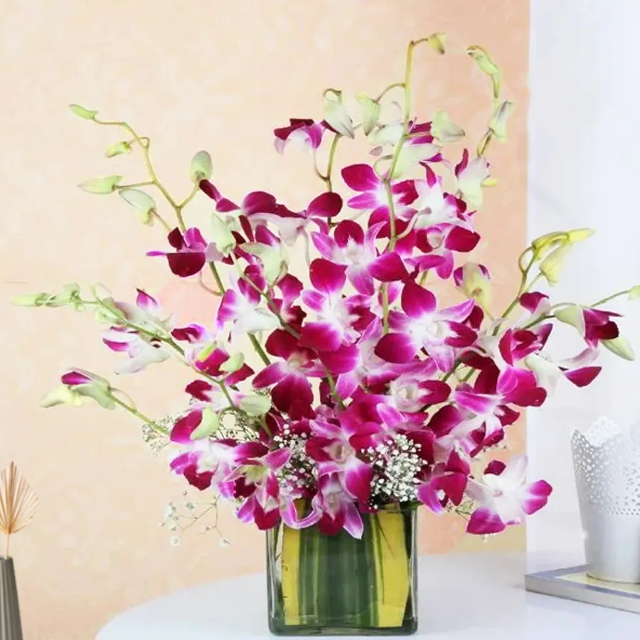 A beautiful arrangement of 12 pink orchids in a stylish vase, perfect for gifting on special occasions like birthdays and Women’s Day.
