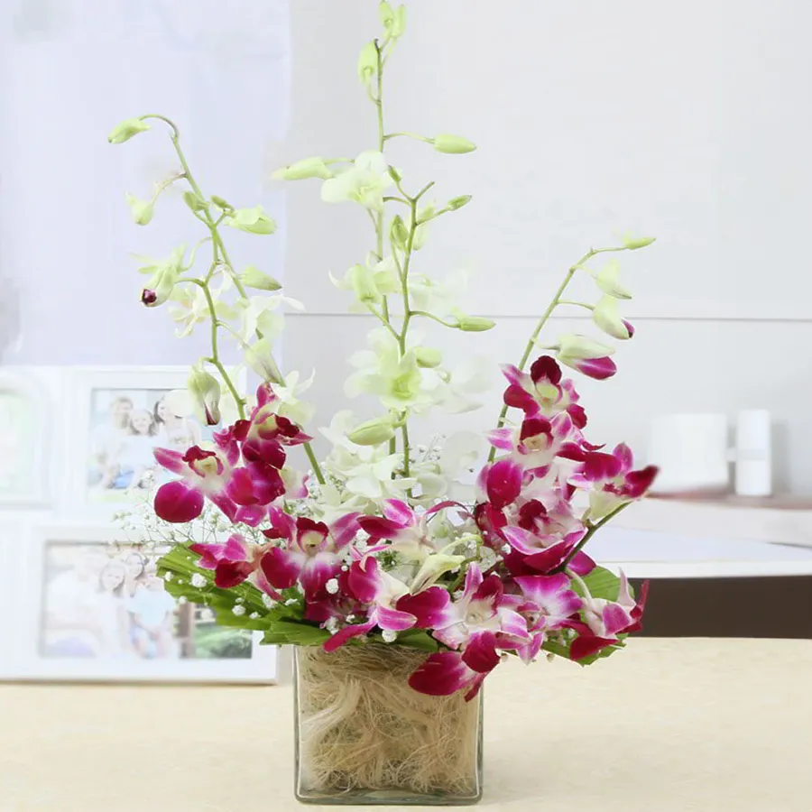 Beautiful arrangement of twelve purple orchids in a vase, perfect for celebrating anniversaries and birthdays.