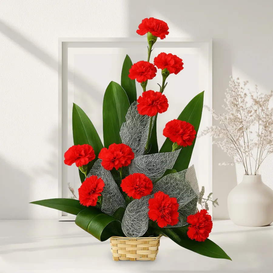 A beautiful bouquet featuring 12 vibrant red carnations, symbolizing love and admiration.