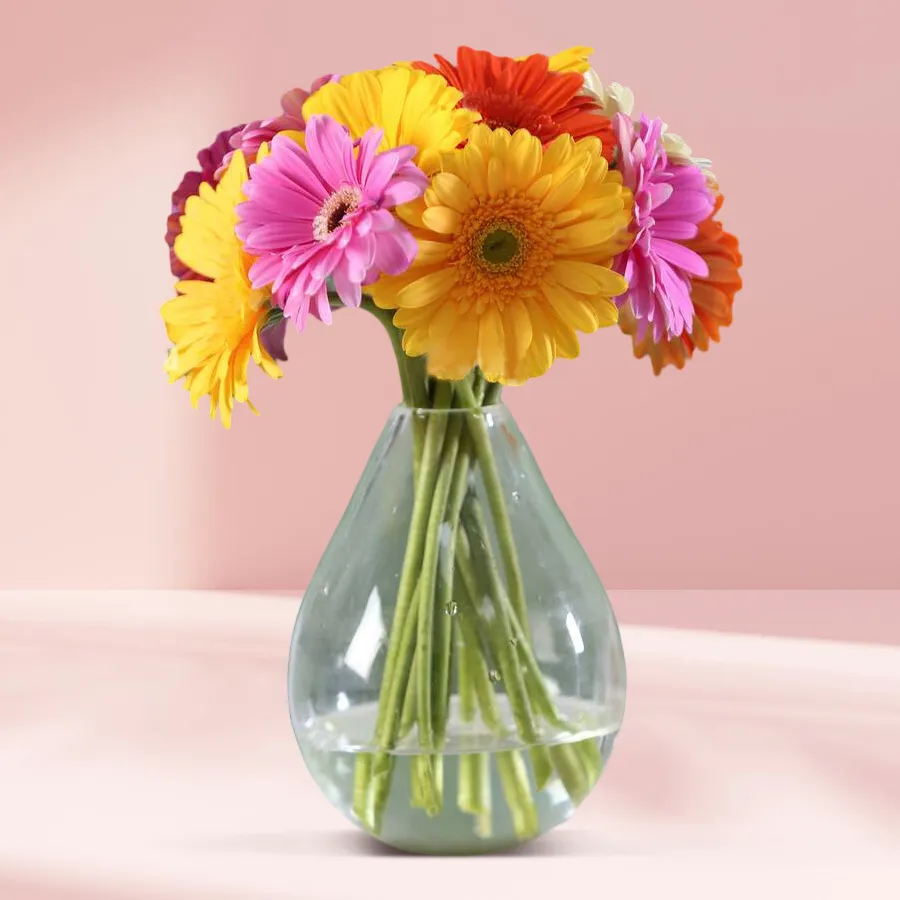 Radiant arrangement of 10 Mixed Gerberas in a stylish glass vase.