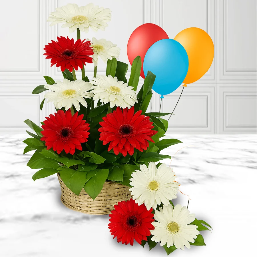 A vibrant arrangement of 15 mixed gerberas alongside 3 cheerful balloons, perfect for gifting.