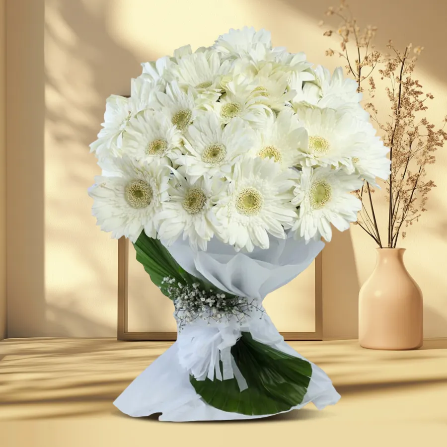 Elegant bouquet featuring 15 white gerberas with fillers.
