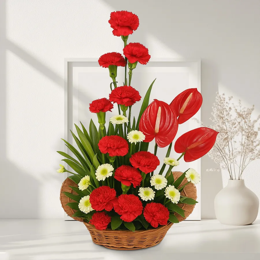 A stunning arrangement of 25 red carnations and anthodium, symbolizing love and affection.
