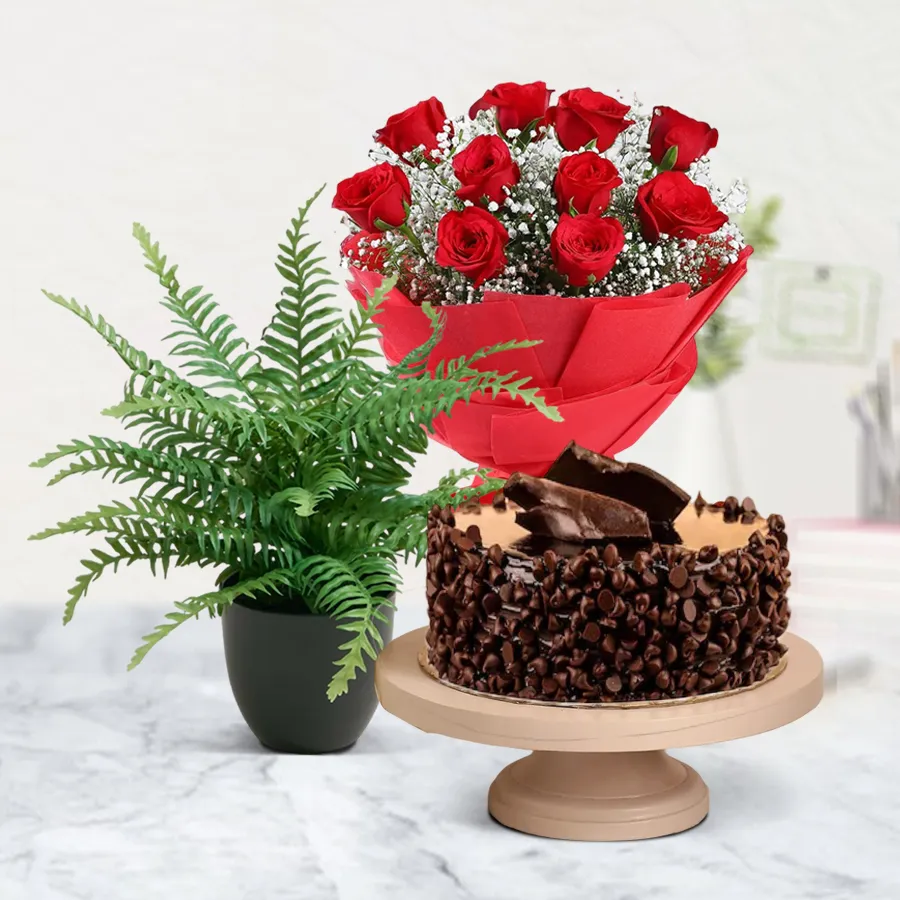 Good Luck Indoor Plant with Bostern fern, chocolate cake, and red roses bouquet.