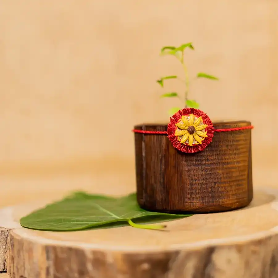 Eco-friendly Surajmukhi Rakhi gift set for Raksha Bandhan featuring plantable rakhi, greeting card, and basil seed ball.