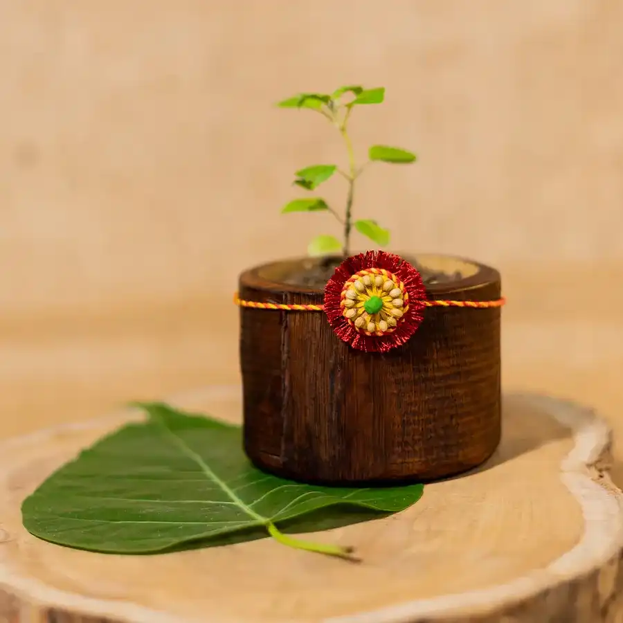 Blooming Bond Rakhi Gift Set featuring a plantable rakhi and festive essentials.