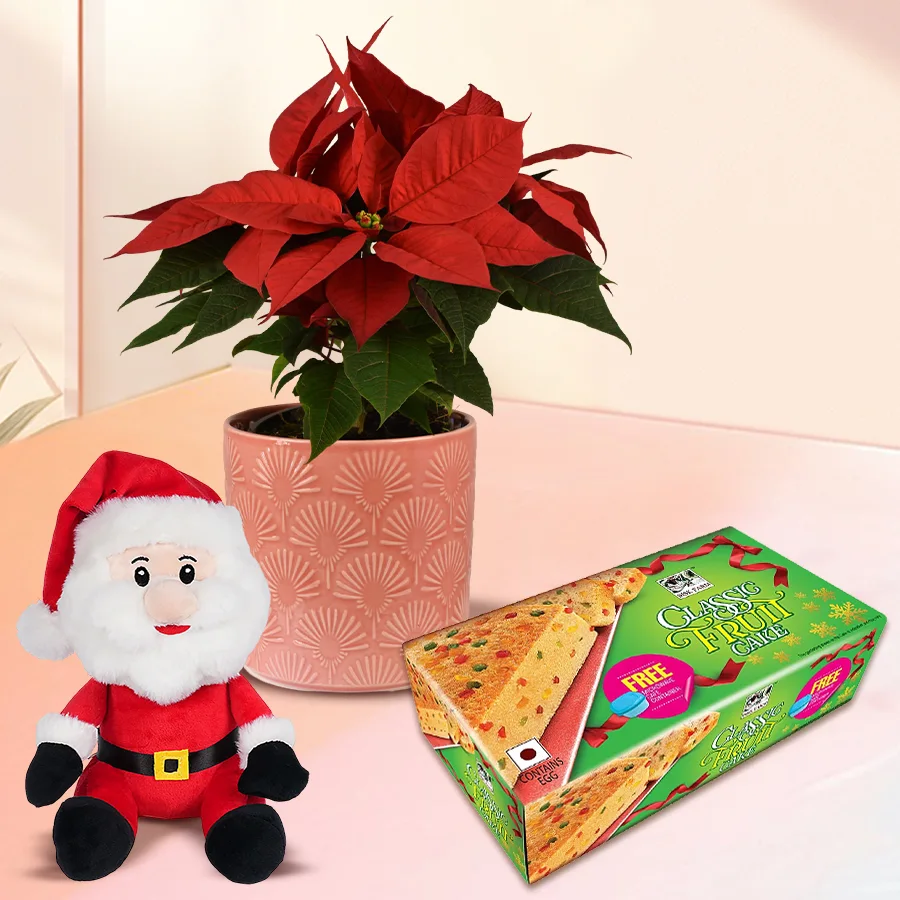 Wonderful Plants Gift Combo for Christmas featuring a red Poinsettia plant, a Santa Claus soft toy, and a Bisk Farms Classic Fruit Cake