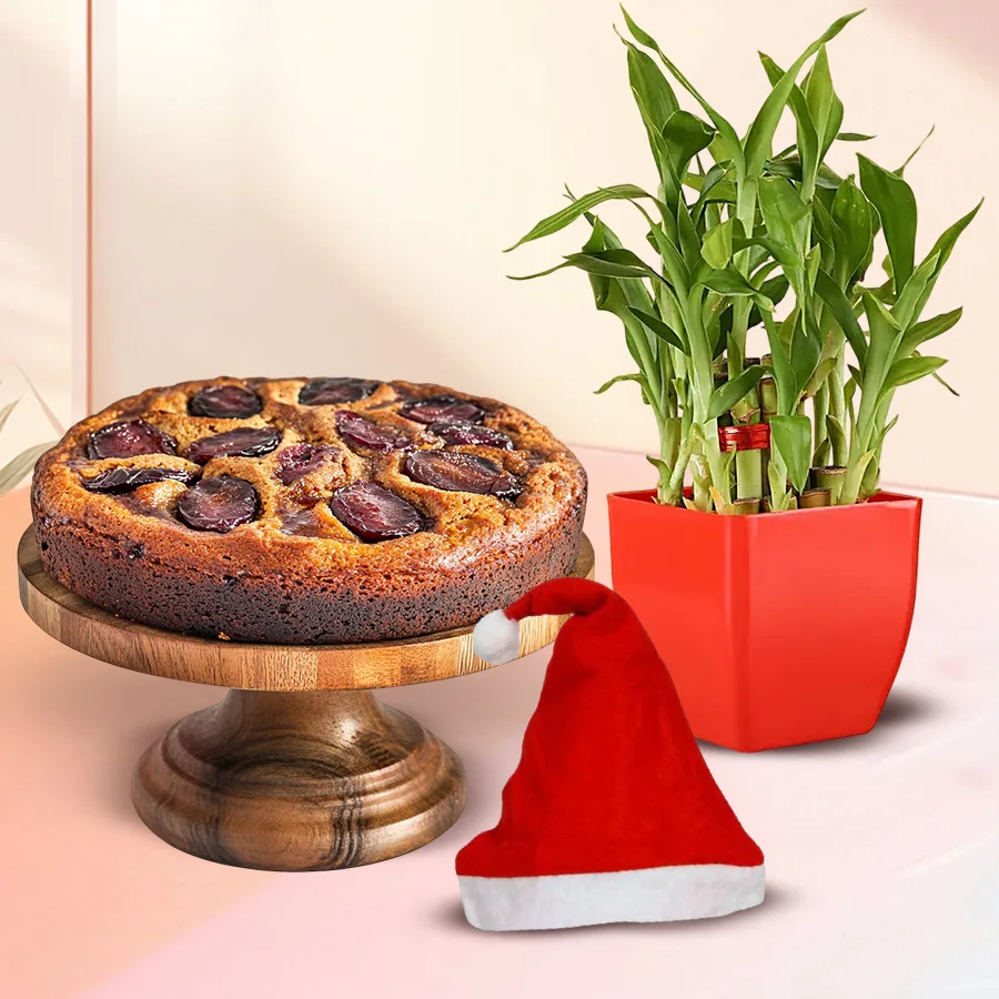 Exotic 2-Tier Lucky Bamboo Plant topped with a Santa Claus cap beside a festive plum cake in a stylish plastic pot