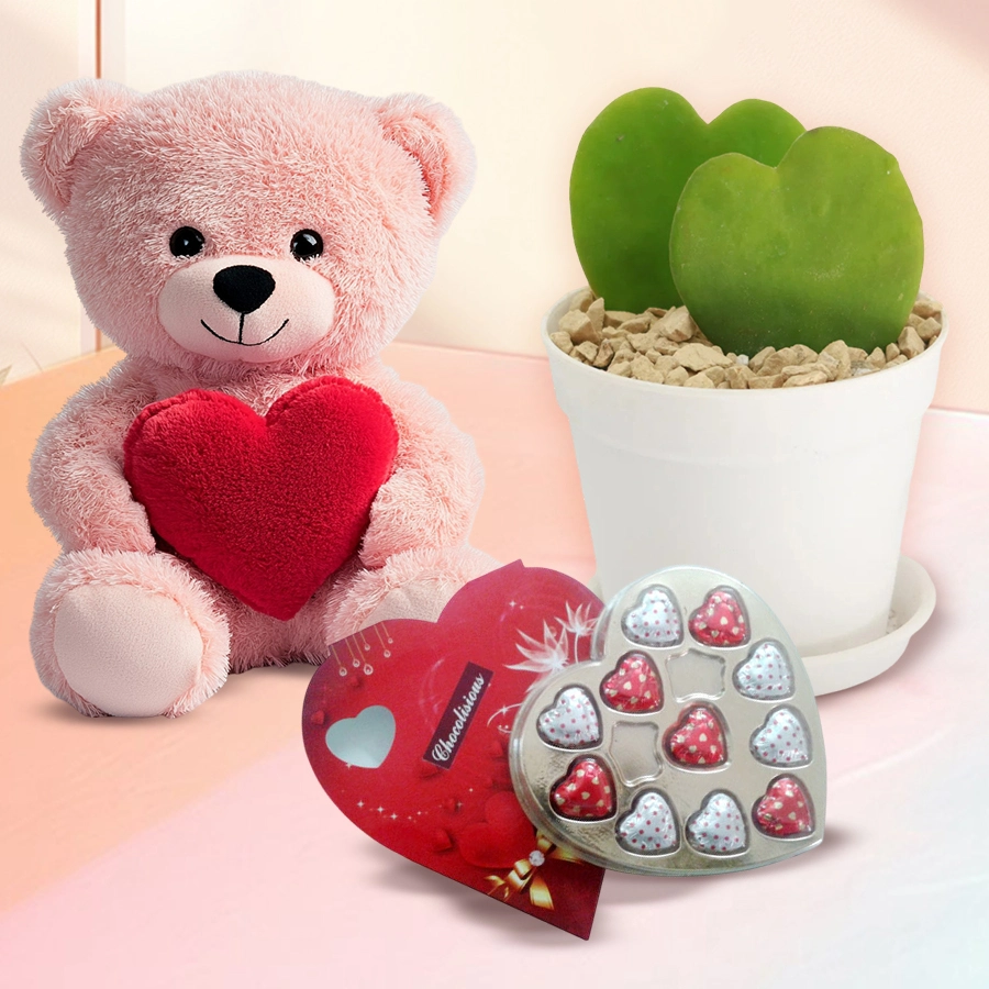 Mind Blowing Hearty Gift Trio for Teddy Day featuring a cuddly teddy bear holding a heart, a Sweet Heart Plant, and 11 heart-shaped chocolates