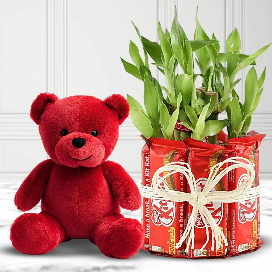 Fabulous Valentine gift set featuring a Premium Two Tier Lucky Bamboo Plant, a box of 10 Nestlé KitKat Chocolates, and a red teddy bear.