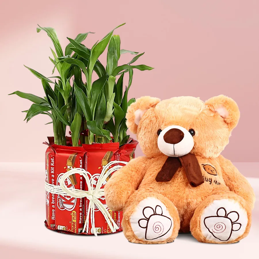 Cuddly 40 cm teddy bear, pack of 10 KitKats, and a 2-tier Lucky Bamboo plant arranged together as a birthday gift.