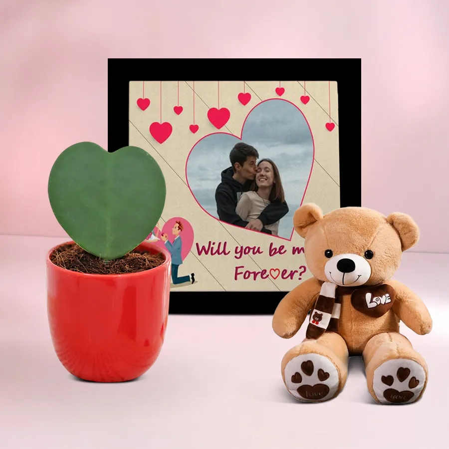 Impressive photo frame with a cute teddy bear and Hoya heart plant, designed for gifting special moments.
