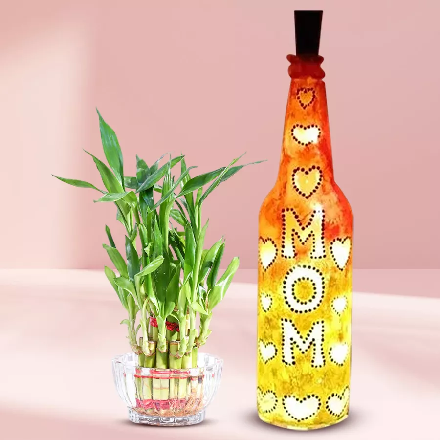 2-Tier Lucky Bamboo Plant beside a handcrafted LED Bottle Lamp on a wooden table